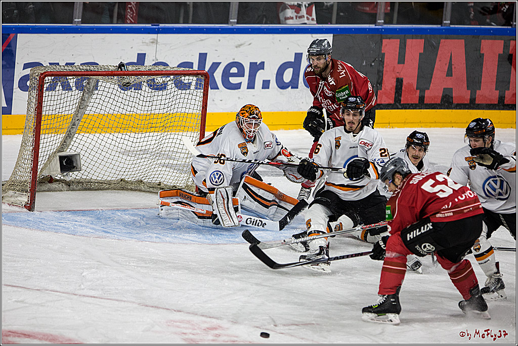 DEL, Koelner Haie - Grizzlys Wolfsburg, 21.03.2017